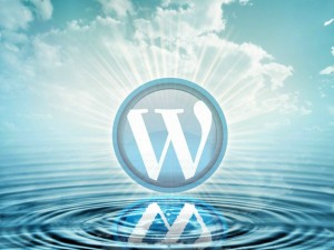 WordPress2